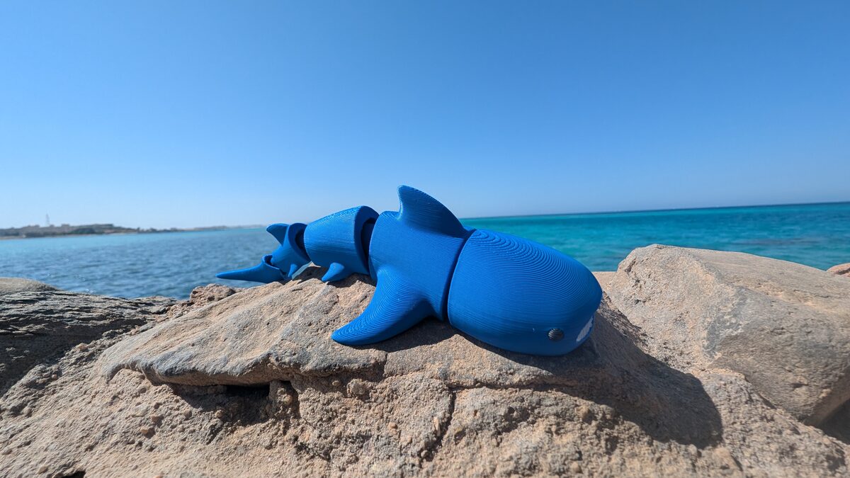 Whale Shark Articulated Figure on a stone